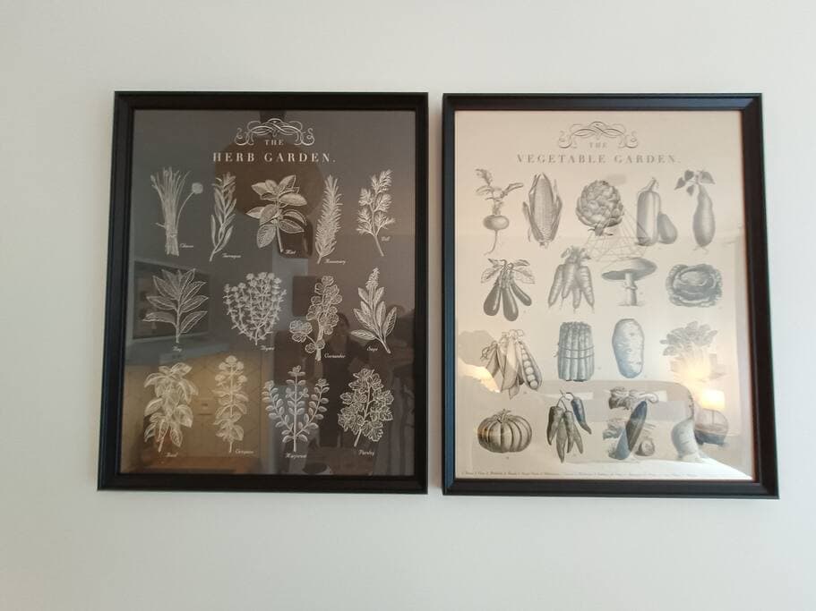 Alpha — photo 15